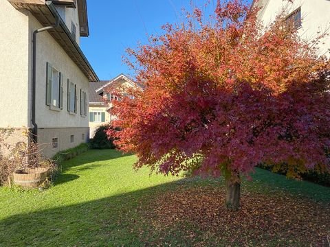 Lustenau Häuser, Lustenau Haus mieten 