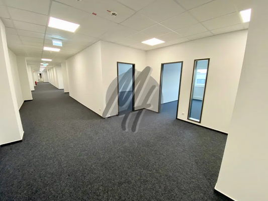 INFOS UNTER: 06171-586000