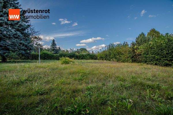 Garten :Baugrundstück