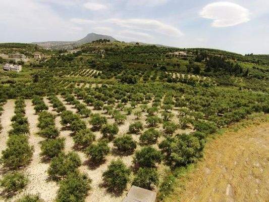 Kreta, Kera: Grundstück zu verkaufen, Hügellage mit Aussicht!