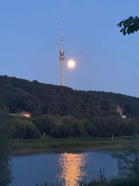 Dresden Wohnungen, Dresden Wohnung kaufen