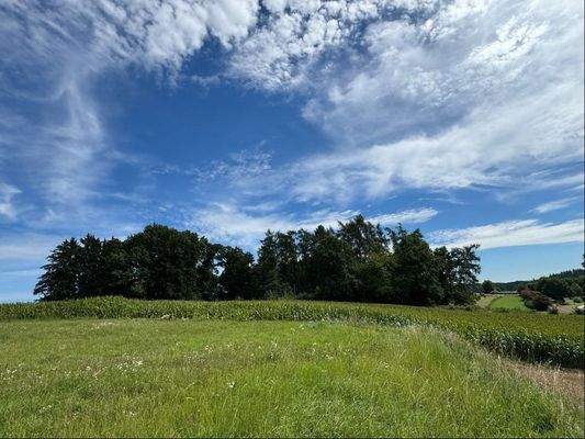 Blick in Richtung Osten