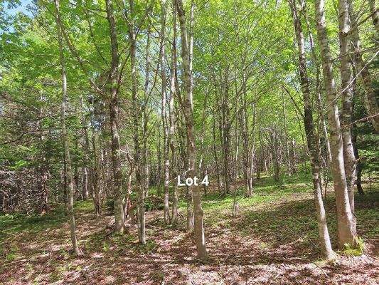 Cape Breton - Traumhaft schöne Naturlage am Middle