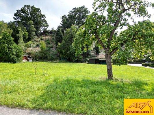 Großes Baugrundstück in Dorflage - sofort oder später bebaubar - wann starten Sie?