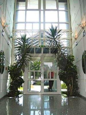 INFOS UNTER: 06171-586000