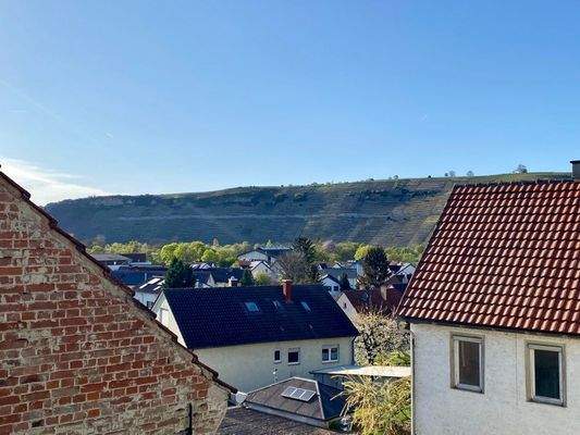 DG - Ausblick auf Weinberge ...