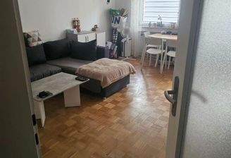 Wohn-, Ess- und Schlafbereich