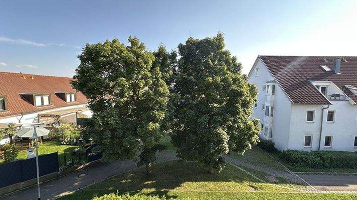 Blick vom Balkon Südseite