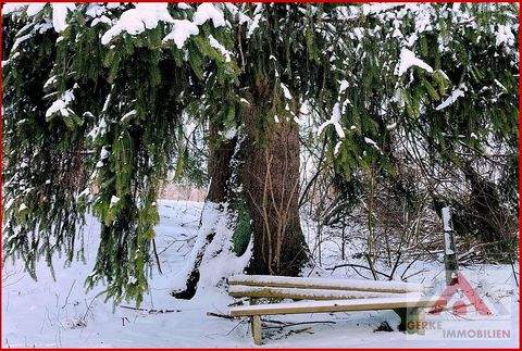 Medebach / Oberschledorn Grundstücke, Medebach / Oberschledorn Grundstück kaufen
