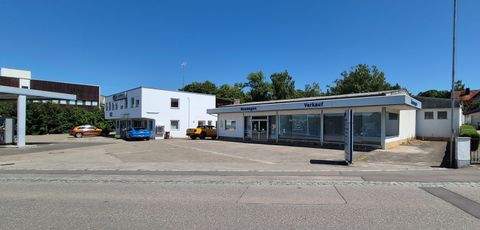 Wolnzach Halle, Wolnzach Hallenfläche