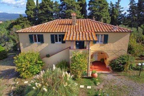 guardistallo Häuser, guardistallo Haus kaufen