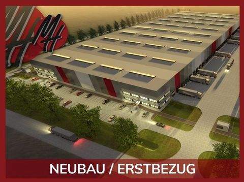 Großostheim Halle, Großostheim Hallenfläche