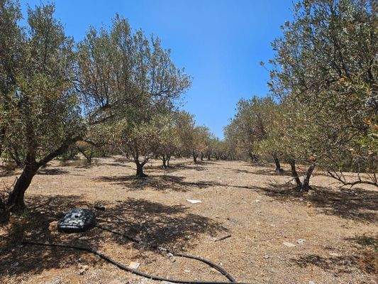 Kreta, Milatos: Anwesen mit vielen Möglichkeiten - nahe am Meer - zu verkaufen