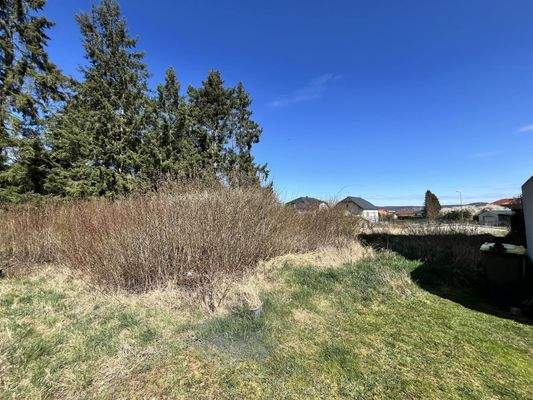 Bild vom Grundstück