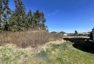 Bild vom Grundstück