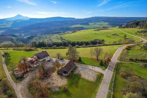 Engen / Stetten Renditeobjekte, Mehrfamilienhäuser, Geschäftshäuser, Kapitalanlage