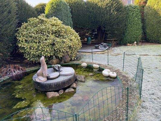 Gartenteich im Winter