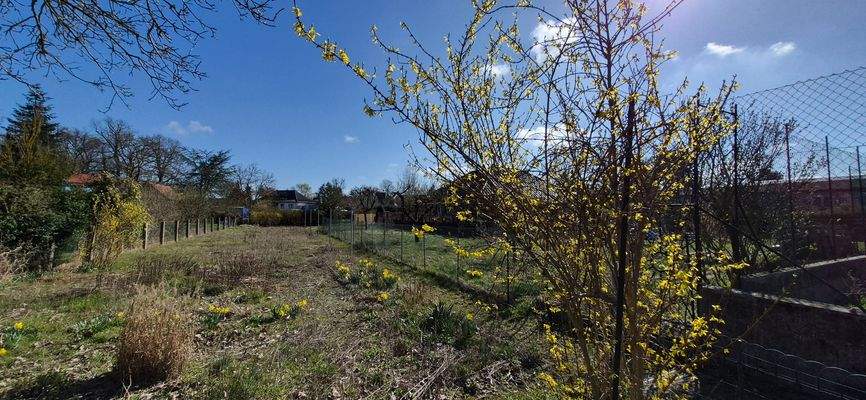 traumhaftes Grundstück 