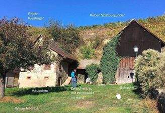 Kleines Weingut am Kaiserstuhl