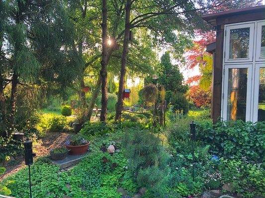 28 makellos EFH Schorrentin.JPG