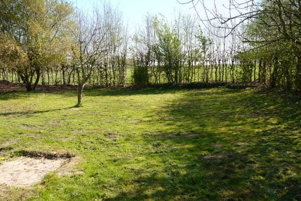 Garten.jpg