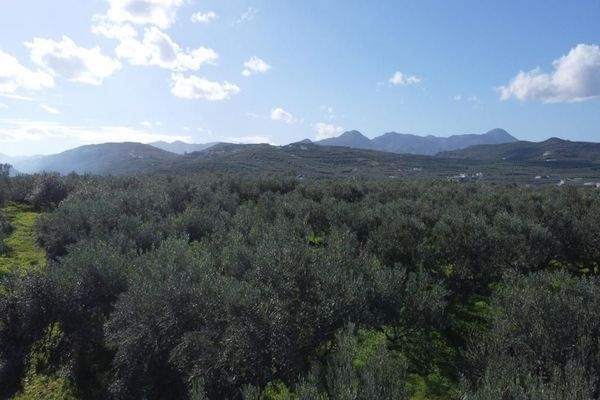Kreta - Kaloudiana: Schönes Grundstück mit Berg- und Meerblick