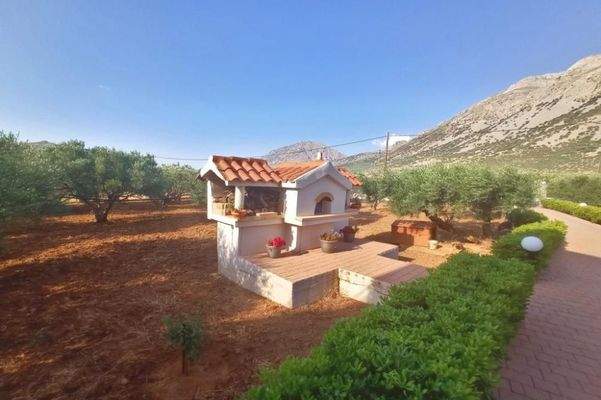 Kreta, Kavousi: Tolle Villa mit Pool, Meerblick und Olivenhain zu verkaufen