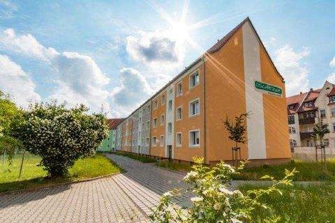 Oschatz Wohnungen, Oschatz Wohnung mieten