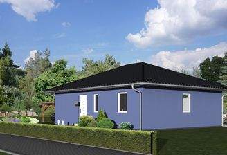 B_Stiefmütterchen_neu_3D