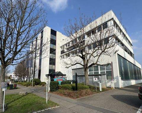 Neckarsulm Halle, Neckarsulm Hallenfläche