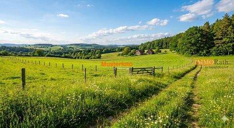 Neuershausen Bauernhöfe, Landwirtschaft, Neuershausen Forstwirtschaft
