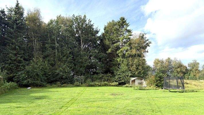 Garten mit Waldstück