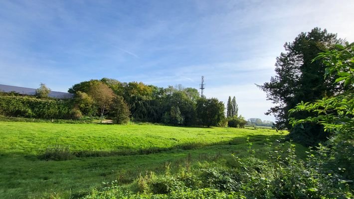 Blick vom Grundstück