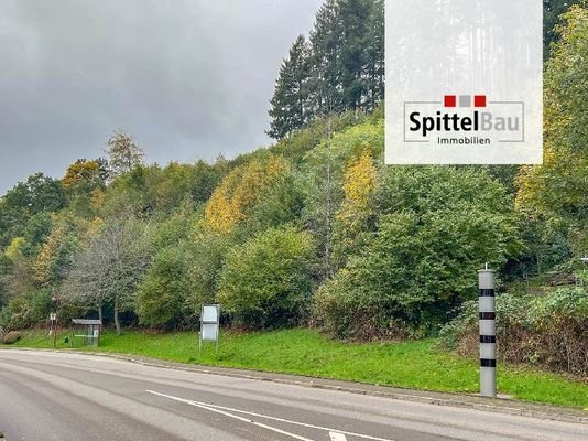 SpittelBau GmbH