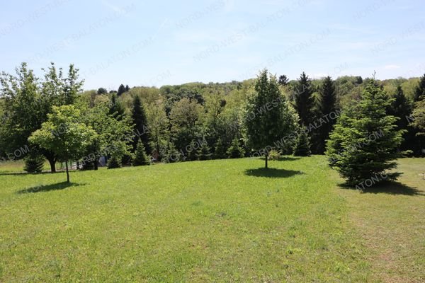 Grundstück mit Blick auf Bäume und Natur