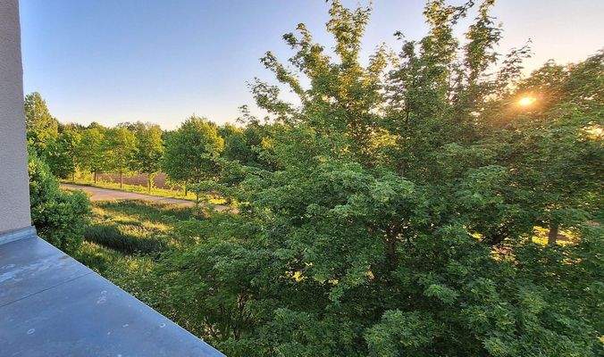 Panorama - Dachterrasse