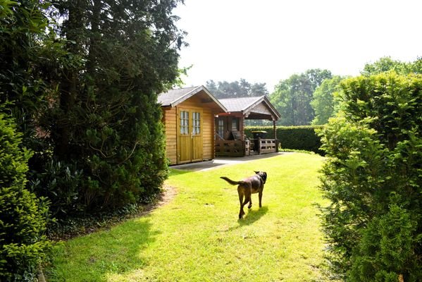 Garten mit Gartenhaus und G...