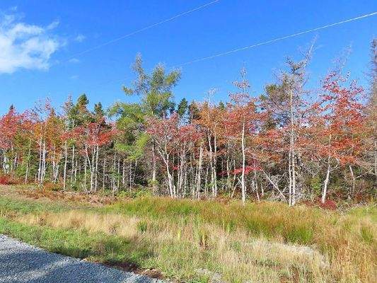 Cape Breton - Traumhaft schöne Atlantik-Lage - Pre