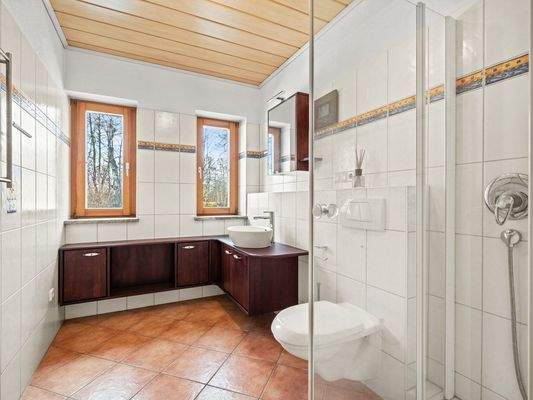 Gäste-Bad mit Dusche