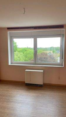 Blick über die Dächer ins Grüne.jpg