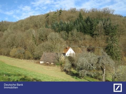 Schönbrunn Bauernhöfe, Landwirtschaft, Schönbrunn Forstwirtschaft