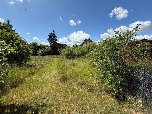 Großes Gartengrundstück