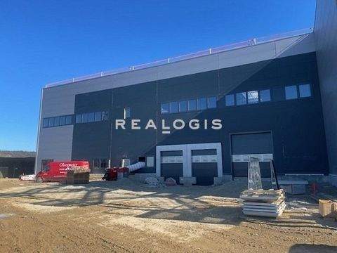 Steinach Halle, Steinach Hallenfläche