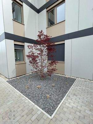 3ZEuNyQFNbTOjPl9l1RoBu