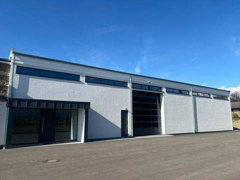 Bitburg Halle, Bitburg Hallenfläche