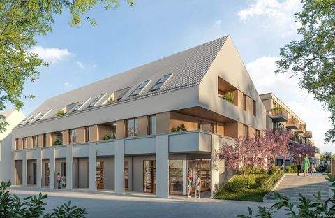 Judenau Wohnungen, Judenau Wohnung mieten