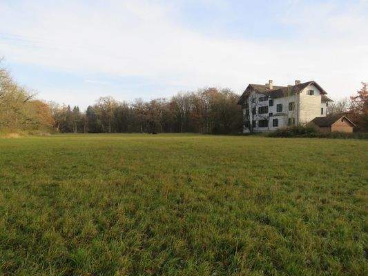 Weidefläche um das Haus 