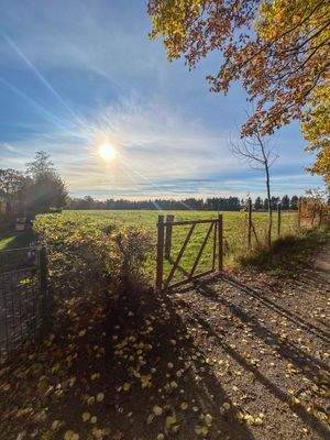 Der Blick über die Felder