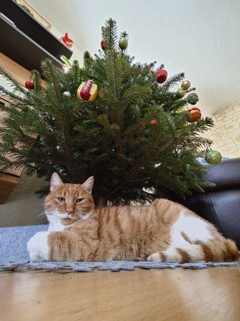 Flöha Häuser, Flöha Haus kaufen