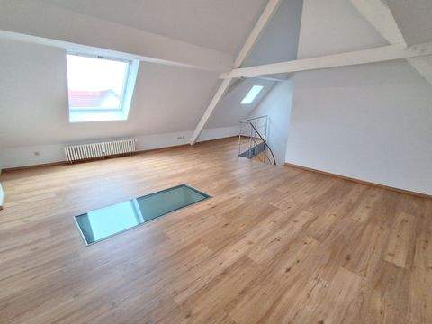 Singen (Hohentwiel) Wohnungen, Singen (Hohentwiel) Wohnung kaufen